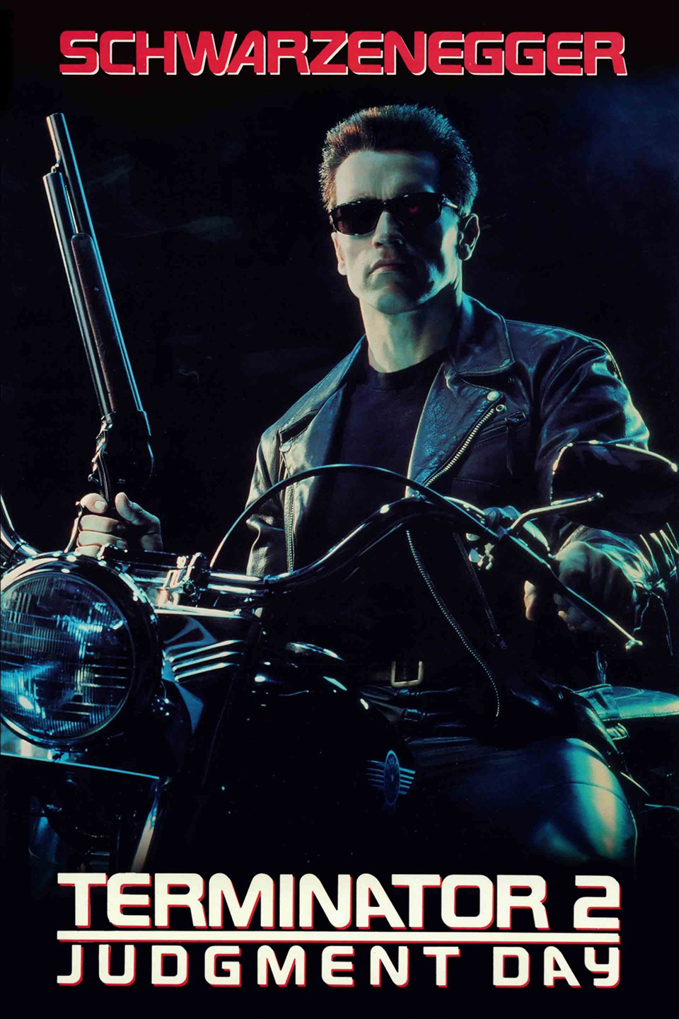 Terminator 2 Judgment Day (1991) [318390] (A1763676235) [[Movies]] --Plex--